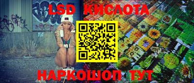 шишки Обнинск