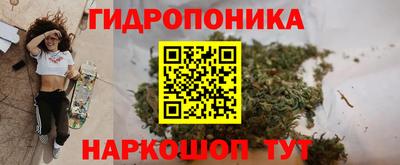шишки Обнинск