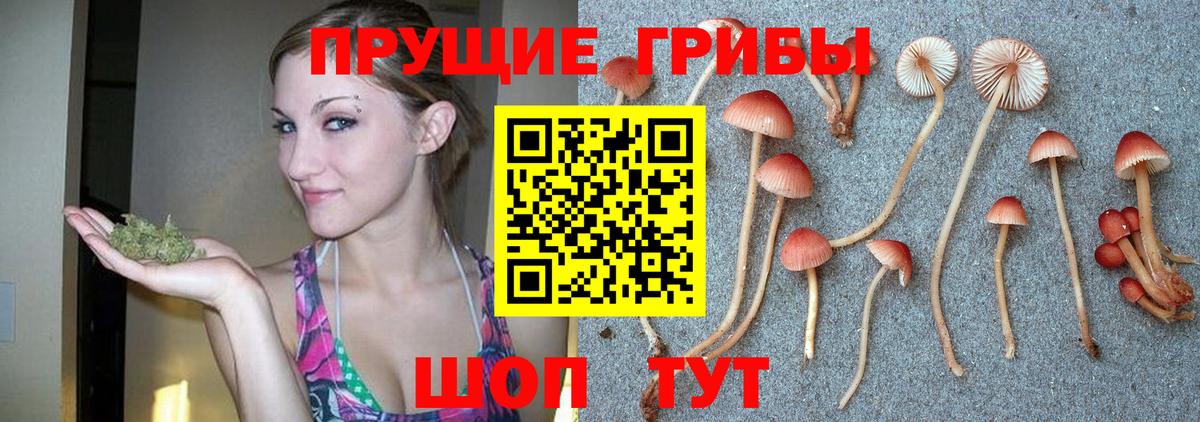 Галлюциногенные грибы прущие грибы  Вход с VPN  Галлюциногенные грибы ЛСД  Татарск 